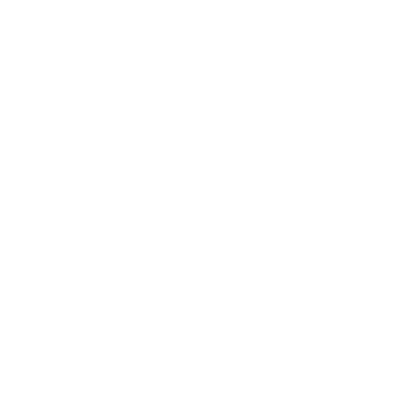 SynerJr